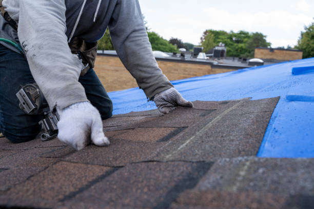 Best Residential Roofing Contractor  in Guthrie, KY